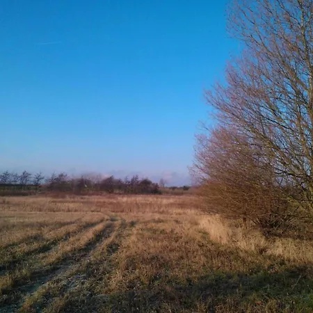 Tranquil Seaside Haven-by Traum Σπίτι διακοπών Store Fuglede