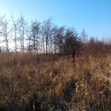 Σπίτι διακοπών Tranquil Seaside Haven-by Traum