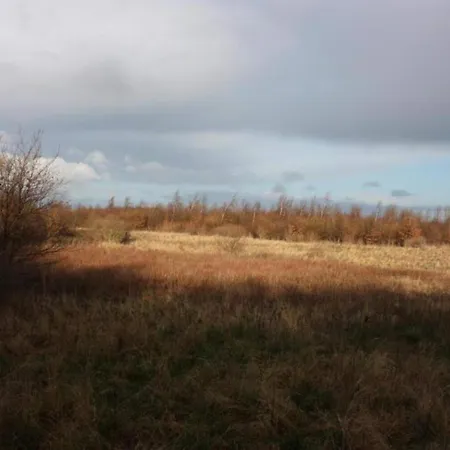 Tranquil Seaside Haven-by Traum *